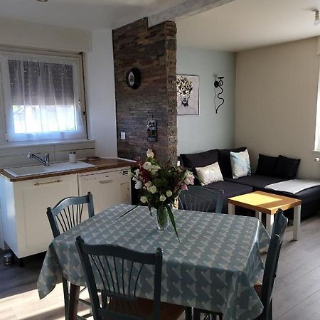 Appartement Au Cigogneau Wifi-Netflix-Balcon-Parking Munster  Ngoại thất bức ảnh