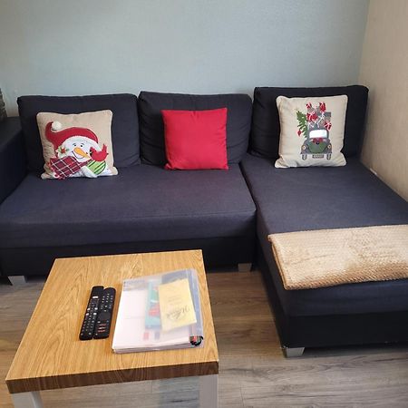 Appartement Au Cigogneau Wifi-Netflix-Balcon-Parking Munster  Ngoại thất bức ảnh