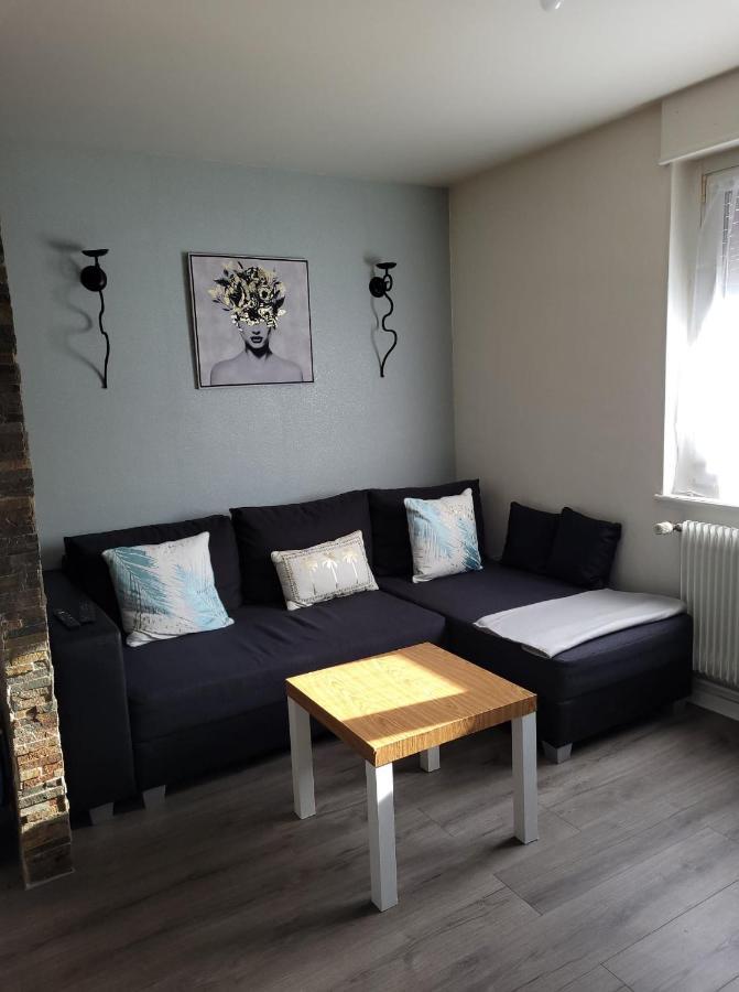 Appartement Au Cigogneau Wifi-Netflix-Balcon-Parking Munster  Ngoại thất bức ảnh